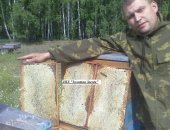 Продам мёд в Челябинске, Предлагаюдонниковый, дягилевый, липовый, сбор июль-август 2018г
