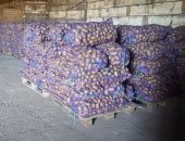 Продам овощи в Арзамасе, Картофель Инара Гала 6 оптом, без болезней, упаковка:сетки 35-40