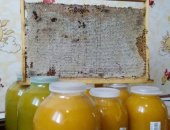 Продам мёд в Соликамске, натуральный брал у пчеловода с пасеки качество гарантирую