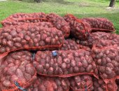 Продам овощи в Нижняи Тавде, картофеля со складов Производителя, Урожай 2018, сорт Гала и