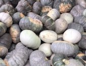 Продам овощи в Нальчике, Тыква, тыкву разных сортов : местная мраморная волжская и зимняя