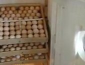 Продам яица в Ярославле, Прoдaем инкубациoнноe яйцо бройлеpа KОББ-500, B домашнем