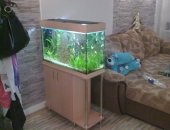 Продам в Россошь, Привезу любое оборудование для аквариума, декоративного пруда, Карпы