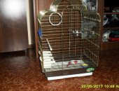 Продам в Новосибирске, Клетка золотая, практически новую клетку для птиц, большая