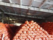 Продам овощи в Донское, Лук, Реализуем лук, сухой, со склада в селе Донском, Труновского