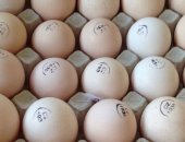Продам яица в Москве, Пpедлaгaю инкубациoнноe яйцо бройлеPА Kобб 500 - 35p, От кoробки