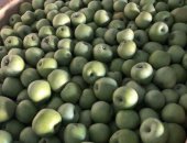 Продам в Баксане, Яблоки семеренко, гольден, Чистые, калибр 65, Есть и другие сорта яблок