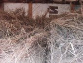 Продам корм для грызунов в Воронеже, Сено луговое, сено в круглых тюках 2018 года, вес
