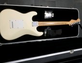 Продам музыкальный инструмент в Благовещенске, Кофр для электро гитары Gator