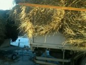 Продам корм для грызунов в Чите, сено в рулонах по 250 кг, разнотравие, сено в рулонах