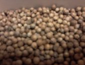 Продам семена в Чебоксары, кинзы - кориандр урожая 2018 года, Выращены на собственном