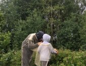 Продам снаряжение для охоты и рыбалки в городе Москва, Сетка академика Павловского, Сетка