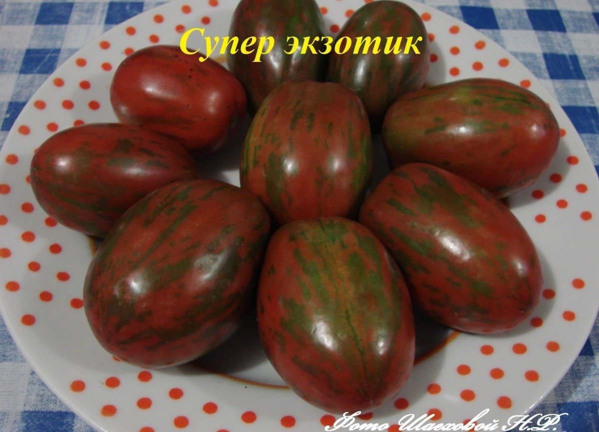 кулич томат супер экзотик отзывы фото крайней мере