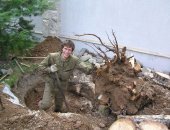 Услуги в Новосибирске, Снос аварийных деревьевПосле прошедшего урагана или больших