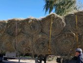 Продам в Попутной, Сено Адрес : краснодарский край отрадненский район станица
