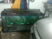Продам в Саратове, Аквариум или меняю, аквариум на 500 литров толщина стекла