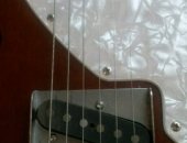 Продам струнный щипковый музыкальный инструмент в Москве, Fender telecaster thinline