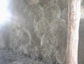 Продам корм для грызунов в Хабаровске, сено в рулонах 300-380 кг и мини рулонах