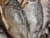 Продам в Новом Уренгое, Рыба, Продается Лешь морской, Свежее сушеная рыба