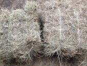Продам в Можайске, КФХ реализует сено многолетних трав, Сено проверенно есть ветеринарное