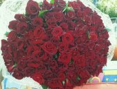 Продам комнатное растение в Ростове-на-Дону, свои ароматные местные розы, красные