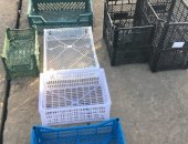 Продам комнатное растение в Дмитрове, Ящики пластиковые подойдут для перевозки и хранения