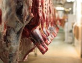 Продам мясо в Санкт-Петербурге, Компания Проспект-Н приглашает к сотрудничеству оптовые