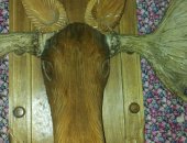Продам трофеи в Казани, Голова оленя из дерева ручной работы, рога настоящие