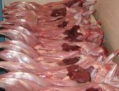 Продам мясо в Махачкале, Убой произвожу по заказу, Предлагаю кролика, выращенного в