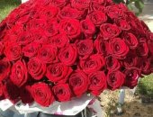 Продам комнатное растение в Краснодаре, Предлагаем цветы по оптовым ценам со склада Розы