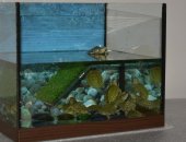 Продам в Туле, Террариум для красноухих черепах, аквариумы есть разных размеров