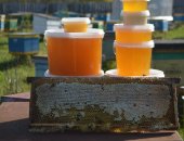 Продам мёд в Ижевске, свежий С собственной пасеки В деревне! Польза лечебных и лесных