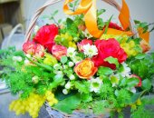 Продам комнатное растение в Москве, Хотите удивить цветами? Оригинальные и креативные