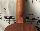 Продам укулеле в Санкт-Петербурге, Spreed music S-215 В продаже отличная Сопрано