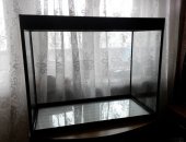 Продам в Новороссийске, Аквариум 69 35 56 см, стекло 8 мм, В отличном состоянии
