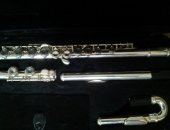 Продам флейту в Железногорске, Флейта посеребренная, Абсолютна новая флейта
