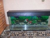 Продам в Дзержинске, аквариум напольный новый размер 1000 600 370, крышка пвх, отличное
