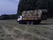 Продам корм для грызунов в Березовском, Сено, сено в разных рулонах от 250кг до 400кг