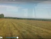 Продам корм для грызунов в Суворове, Сено, Продаётся сено луговое в катушках по 500
