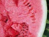 Продам ягоды в Каменске-Шахтинском, Арбузы и дыни, Урожай 2018г, сорта-астраханец, икар и
