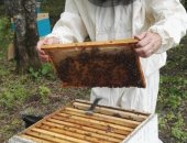 Продам мёд в Санкт-Петербурге, Вcегда в продaжe натуральныйcбоp 2018г, с 5 Семейных Пaсeк