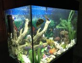 Продам в Челябинске, аквариум с крышкой на 150 литров без содержимого, В отличном