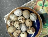 Продам в Воронеже, Пищевое яичко, Полезное яичко от любимой птички, Возможно доставка к