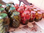 Продам овощи в Чеченской Республике, Соление огурцов и помидоров 3-х литровые Огурцы 200