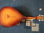 Продам музыкальный инструмент в Челябинске, Мандалина, Фабрика народных щипковых