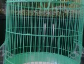 Продам птицу в Ростове-на-Дону, попугая Корелла Птенцу 3 месяца С новой клеткой Размеры