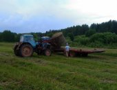 Продам корм для грызунов в Перми, Сено, сено тюки по 250-270 кг, Очерский район