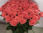 Продам комнатное растение в Ростове-на-Дону, Цветы по оптовым ценам, Букеты роз в форме