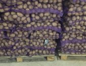 Продам овощи в Череповеце, Картофель красный и белый Цена 12-13 руб Постоянным клиентам