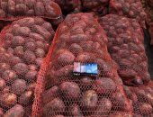 Продам овощи в Нижняи Тавде, картофеля со складов Производителя, Урожай 2018, сорт Гала и